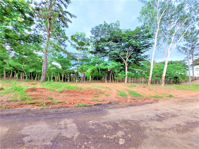 Commercial Property for Sale in Tocumen Panamá Province 07215